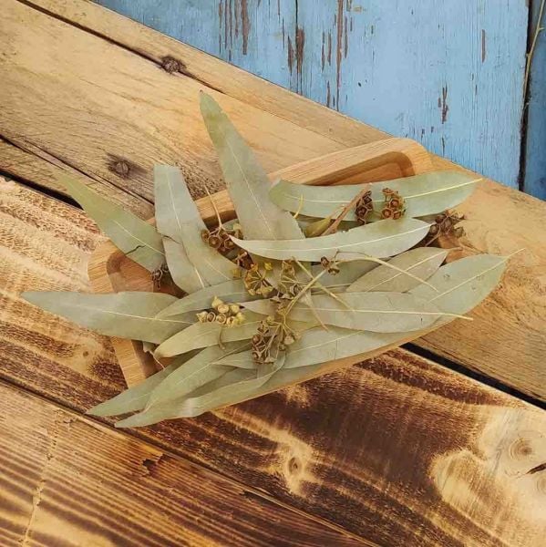 Okaliptus Yaprağı 30 g