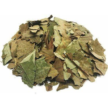 Avokado Yaprağı 40 g