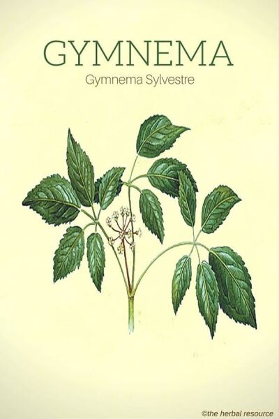 Cinnema 50 g