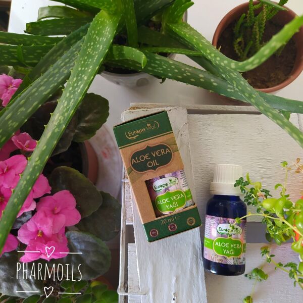 Aloe Vera Yağı 20 ml