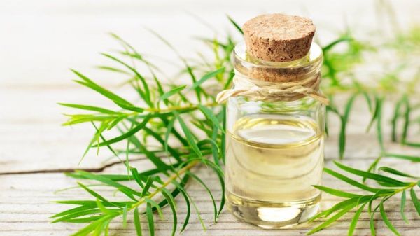 Çay Ağacı Yağı 20 ml