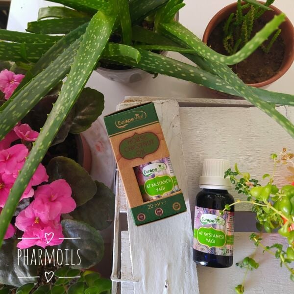 At Kestanesi Yağı 20 ml