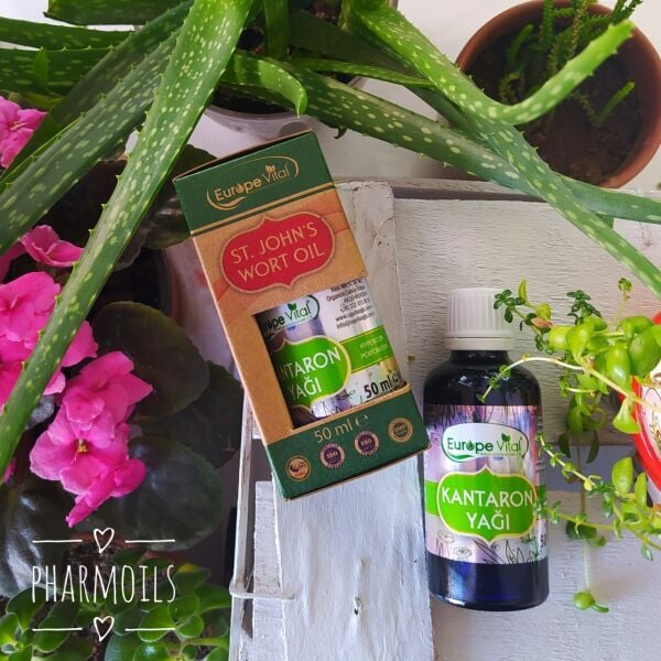 Sarı Kantaron Yağı 50 ml