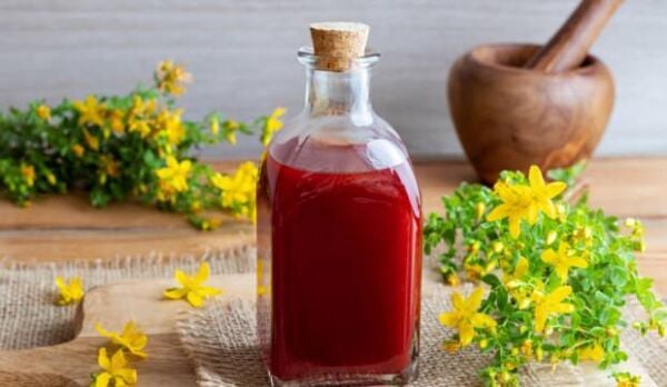 Sarı Kantaron Yağı 100 ml