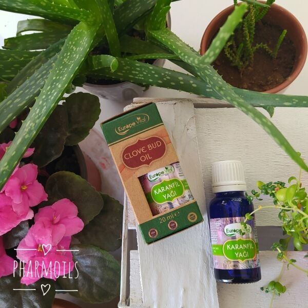 Karanfil Yağı 20 ml
