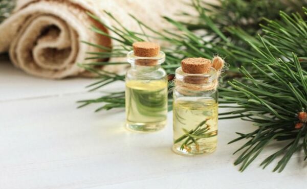 Çam Terebentin Yağı  50 ml