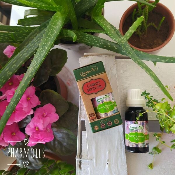 Havuç Yağı 20 ml